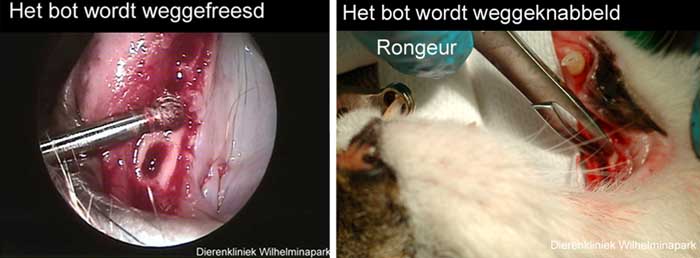 Als d ekiezen getrokken zijn wordt het bot vlakker gemaakt